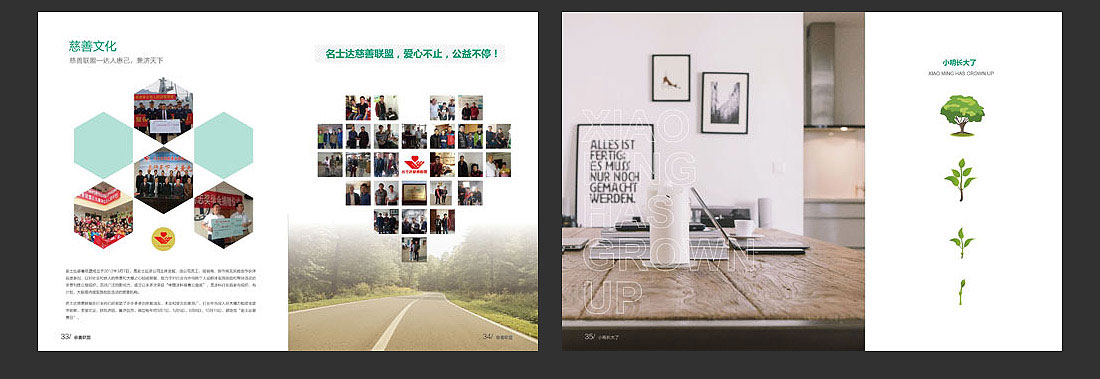 招商(shāng)宣傳冊設計-11
