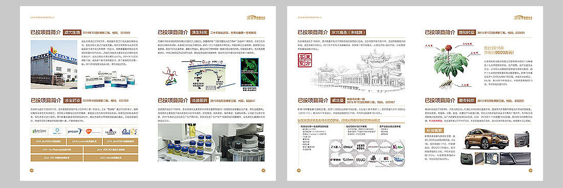 投資(zī)公司宣傳冊設計-6