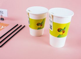 品牌果汁店(diàn)VI設計手冊的核心競争力